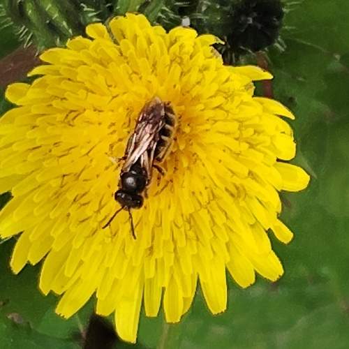 Photo #13442500
