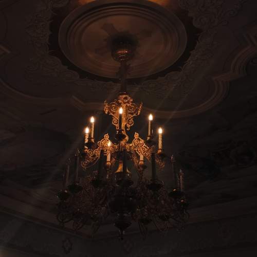 Photo #13442513