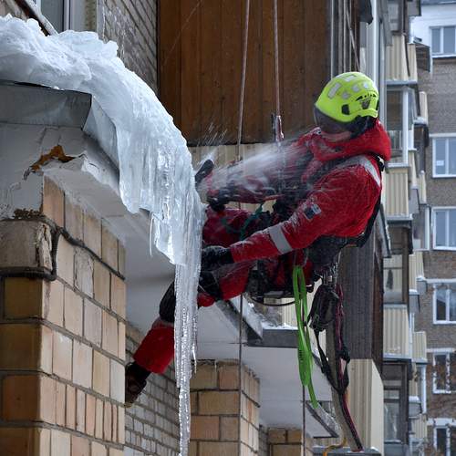Photo #13442616