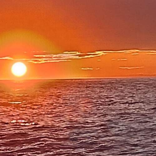 Фотография #13442641