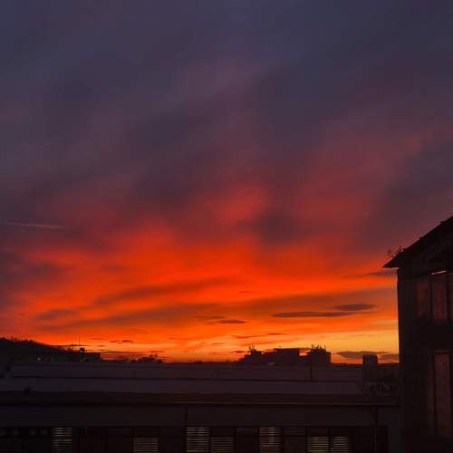 Photo #13442812