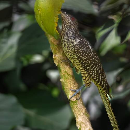 Photo #13443158