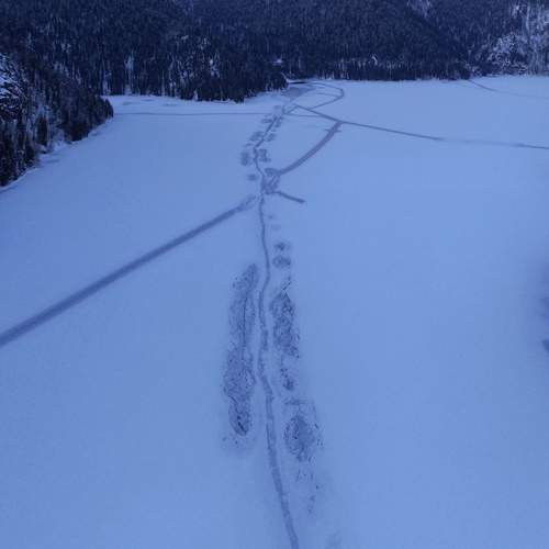 Photo #13443249