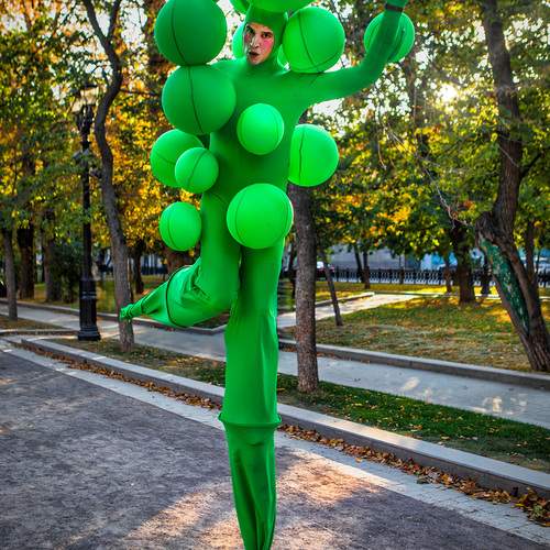 Photo #13443280
