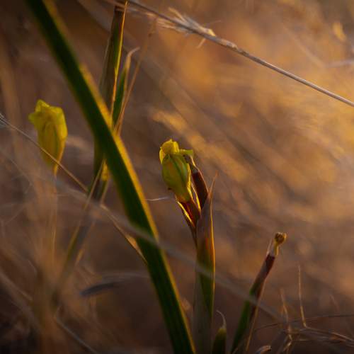 Photo #13443381