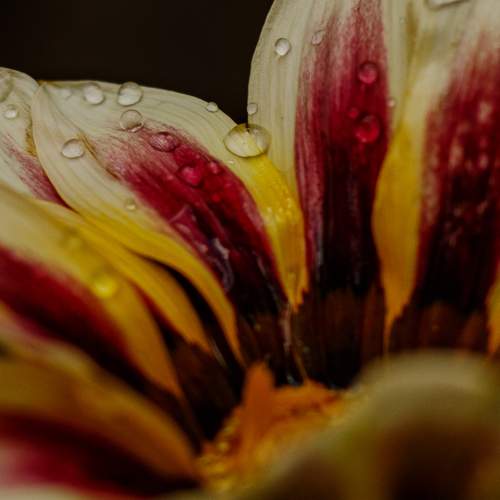 Photo #13443383