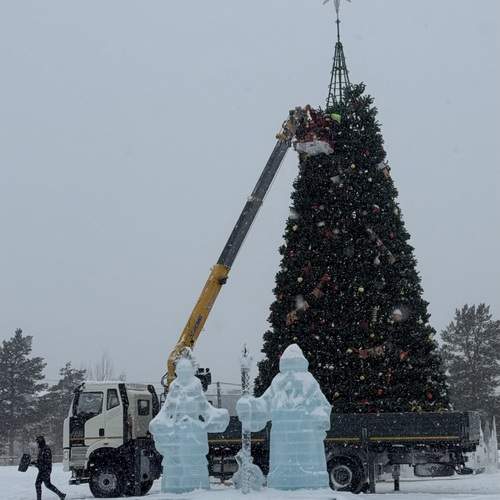 Photo #13443387