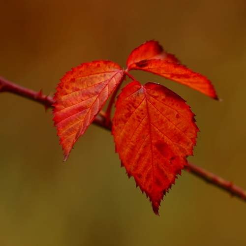 Photo #13443388