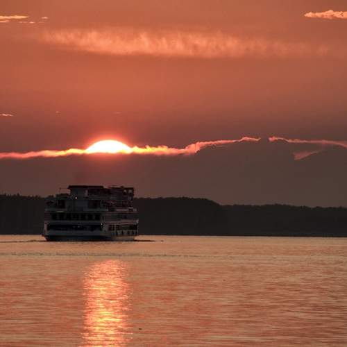 Photo #13443500
