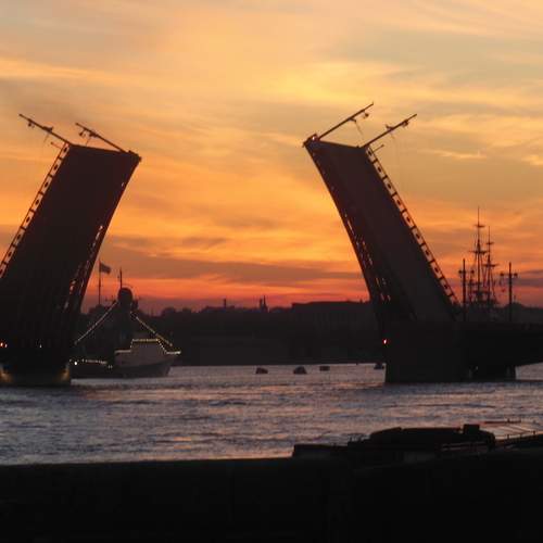 Photo #13443663