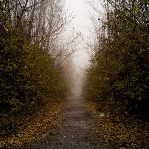 Photo #13443666