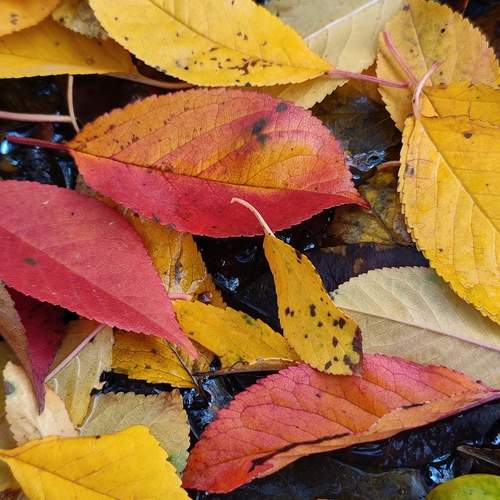 Photo #13443771