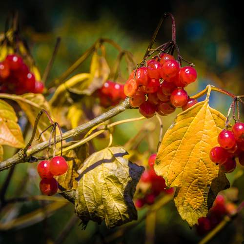 Photo #13443800