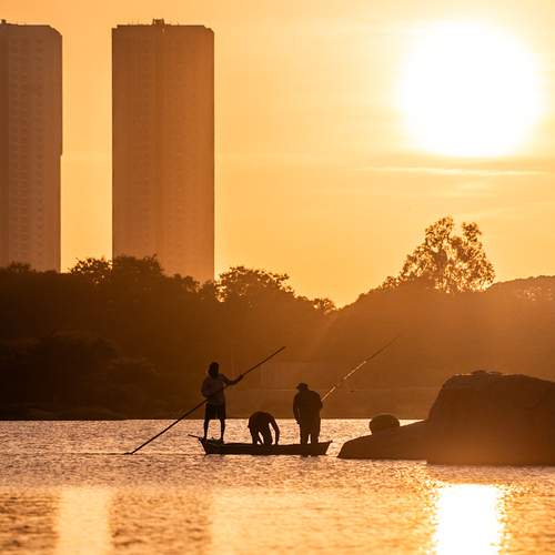 Фотография #13443881