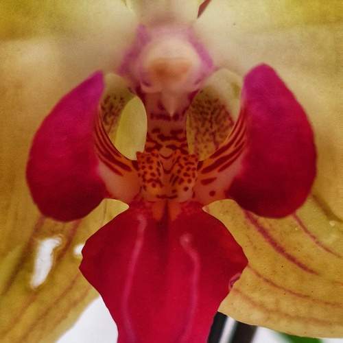 Photo #13443952