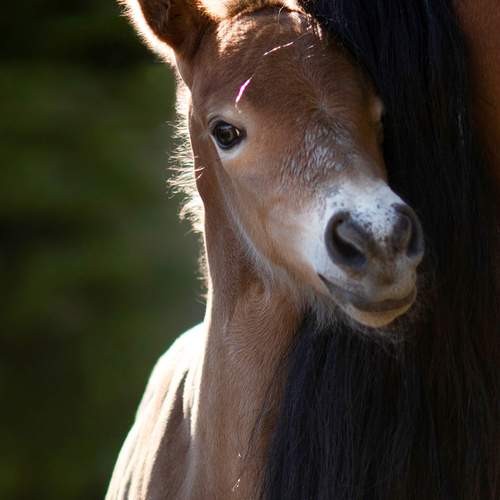 Фотография #13443963