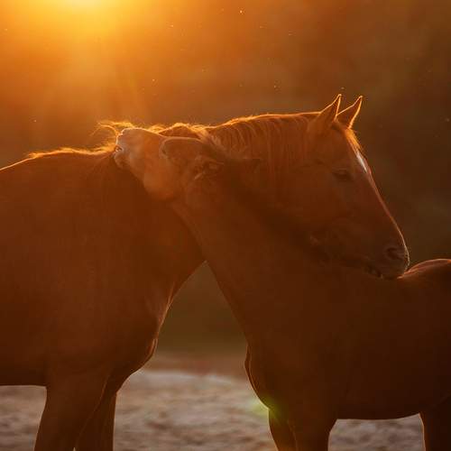 Фотография #13443965