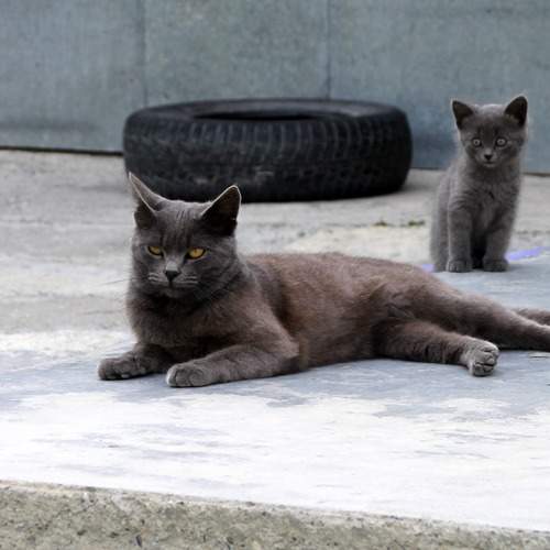 Photo #13444022