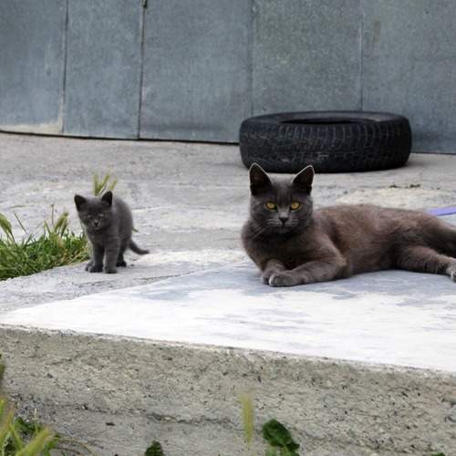 Photo #13444026