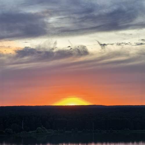 Photo #13444232