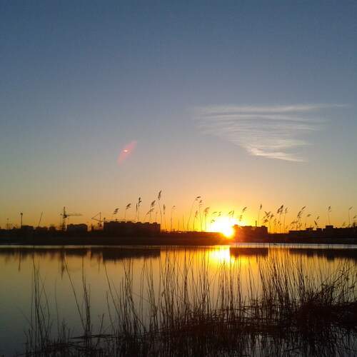 Photo #13444291