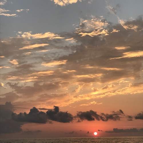 Photo #13444317