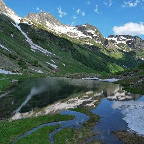 Photo #13444346