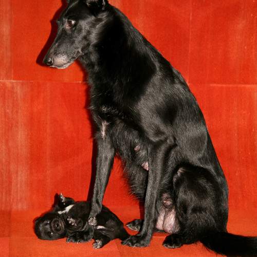 Photo #13444393