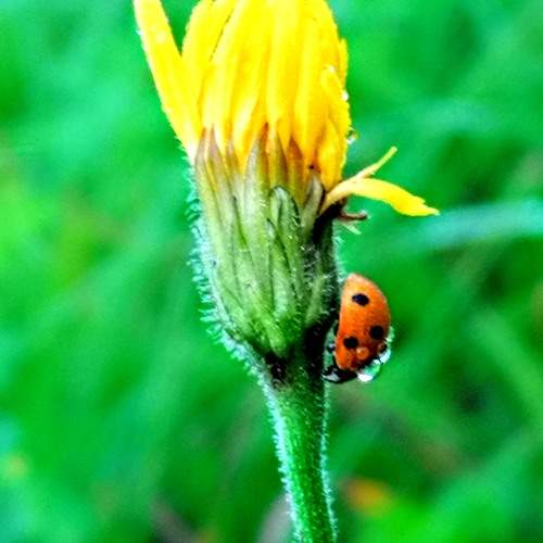 Photo #13444545