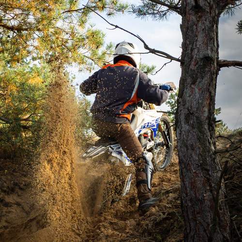 Photo #13444624