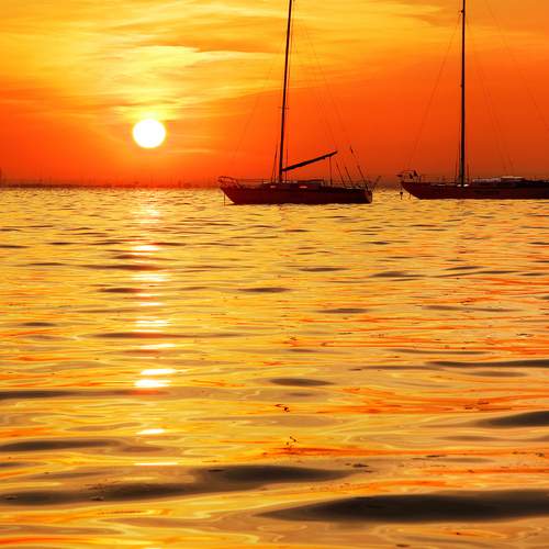 Photo #13444691