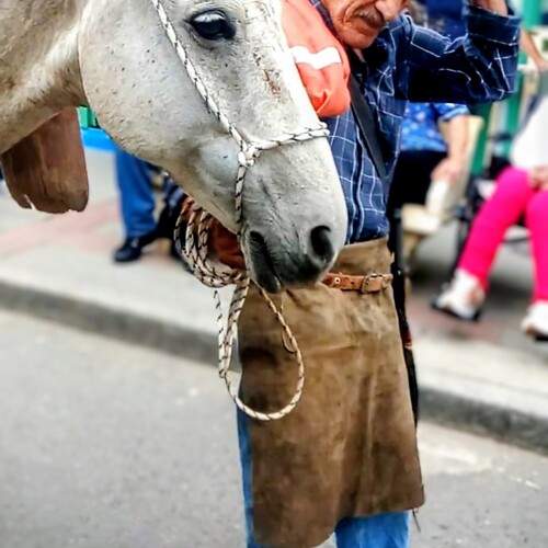 Compañeros de Jornada.
