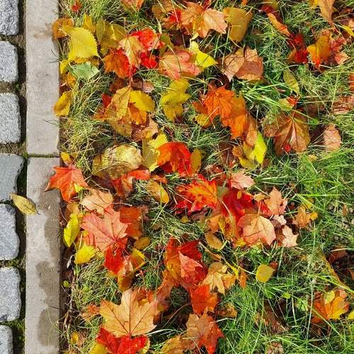 Photo #13445125