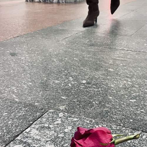 Photo #13445218