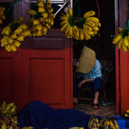 Photo #13445278