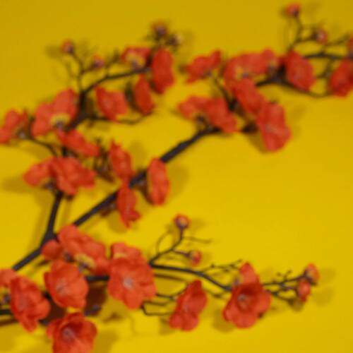 Photo #13445505