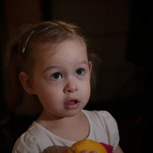 Photo #13445700