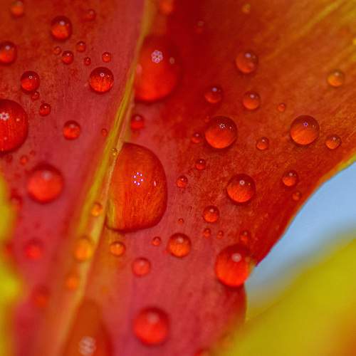 Photo #13445735