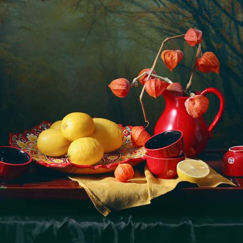 Лимоны и ветка физалиса