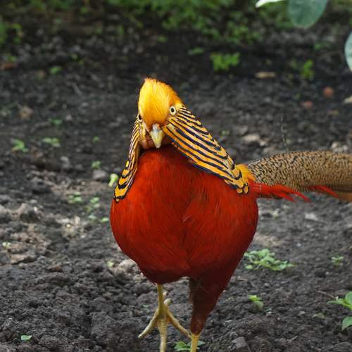 Photo #13446043