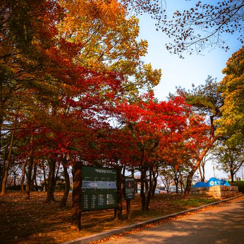 Фотография #13446091