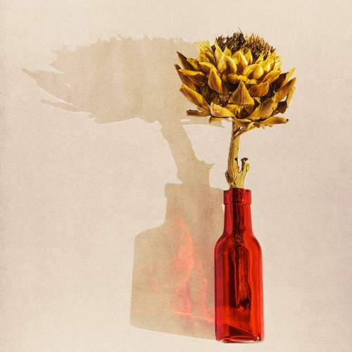 Photo #13446115