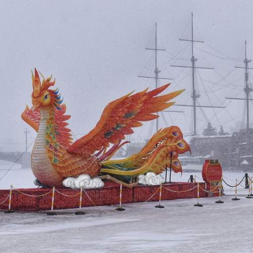 Photo #13446144