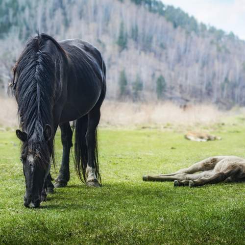 Фотография #13446199