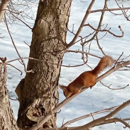 Photo #13446202