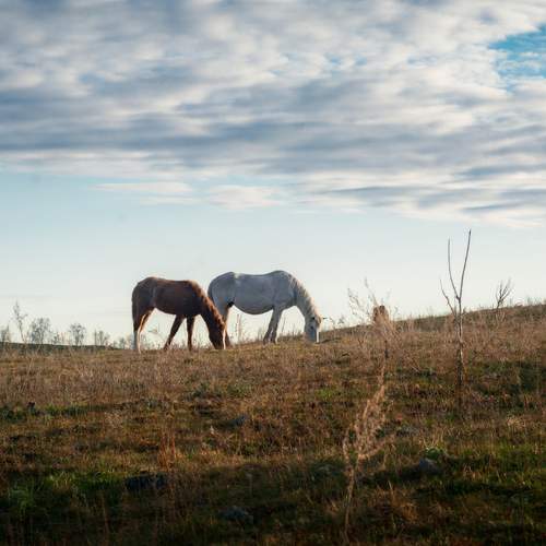 Фотография #13446207