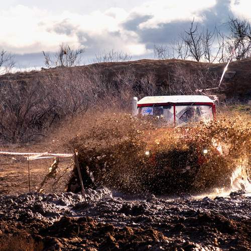 Photo #13446215