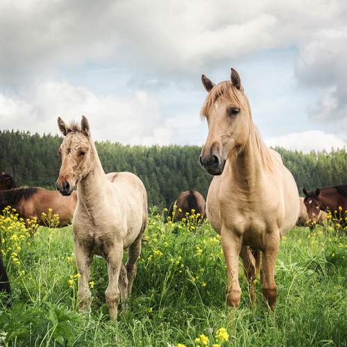 Фотография #13446224