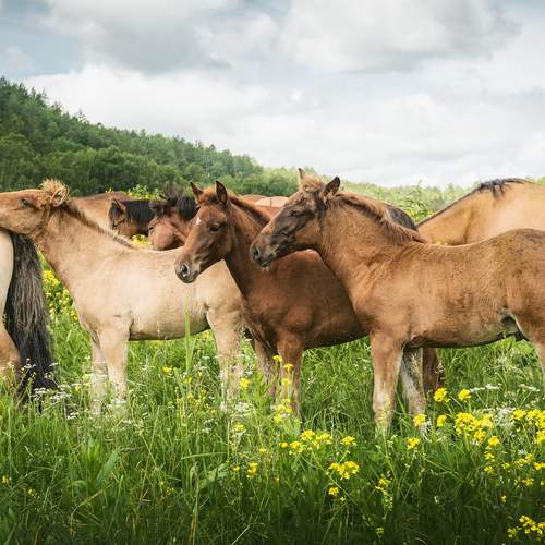 Фотография #13446231