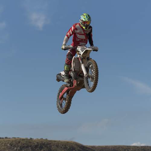 Photo #13446302
